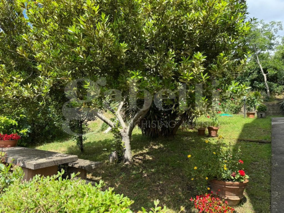 Appartamento - Image 37