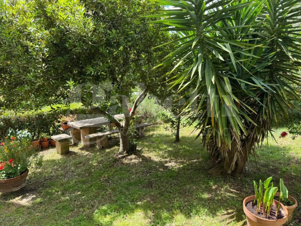 Appartamento - Image 34