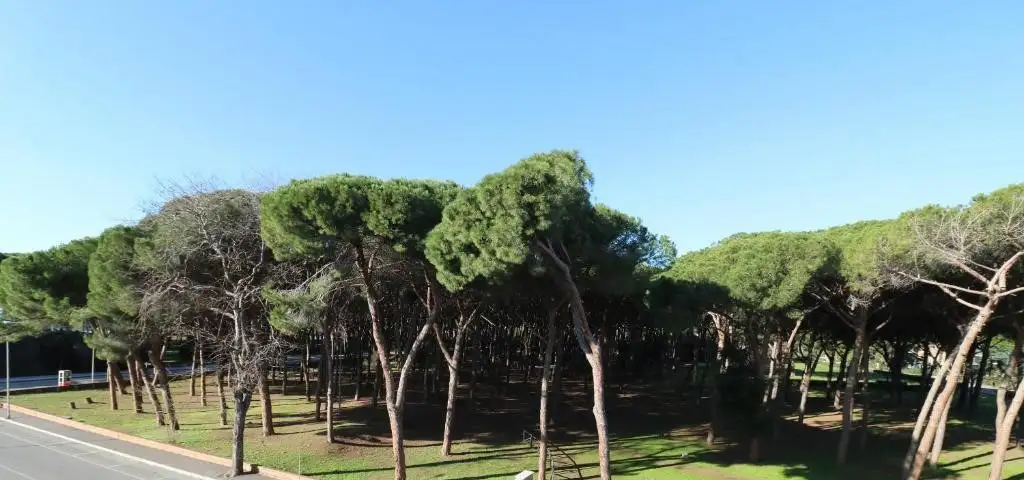 Appartamento - Image 6