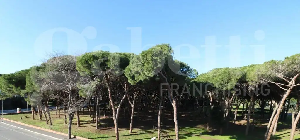 Appartamento - Image 10