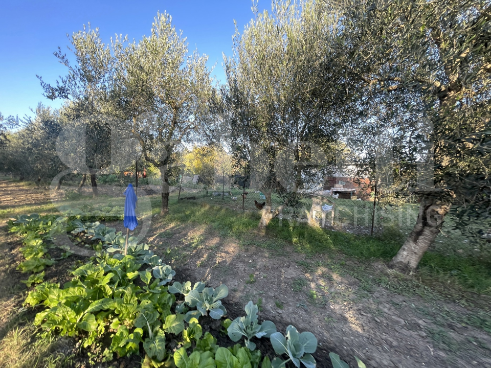 Casa Indipendente - Image 41