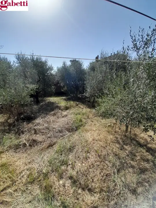 Casa Indipendente - Image 15