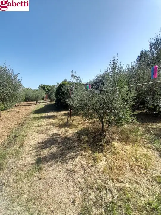 Casa Indipendente - Image 16