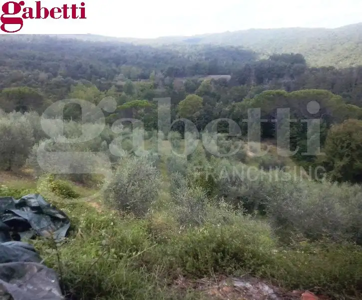 Casa Indipendente - Image 7