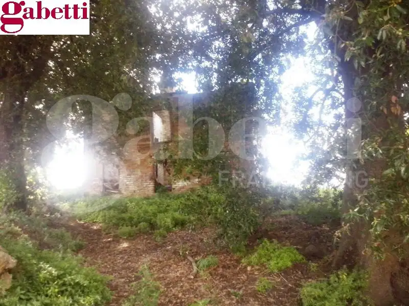 Casa Indipendente - Image 6