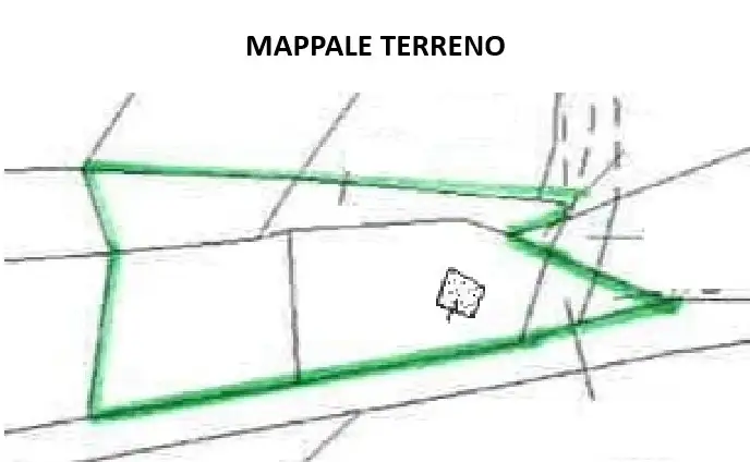 Terreno - Planimetry 1