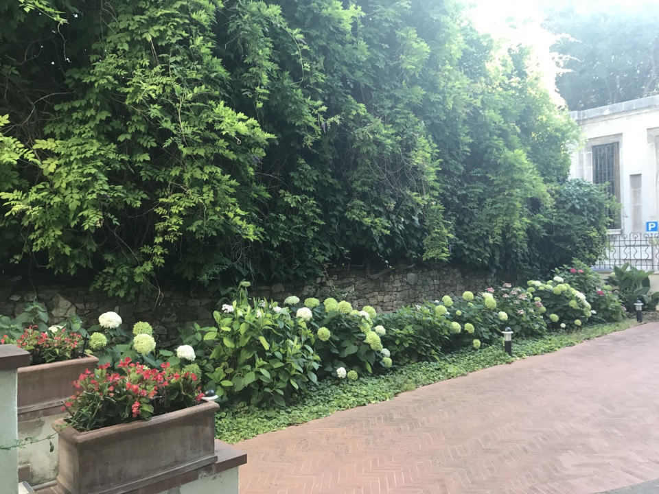 Appartamento - Image 3