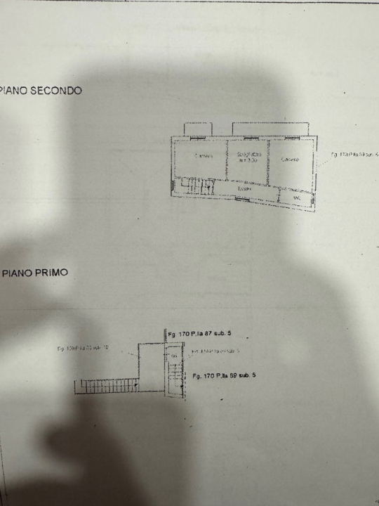 Attività - Planimetry 2