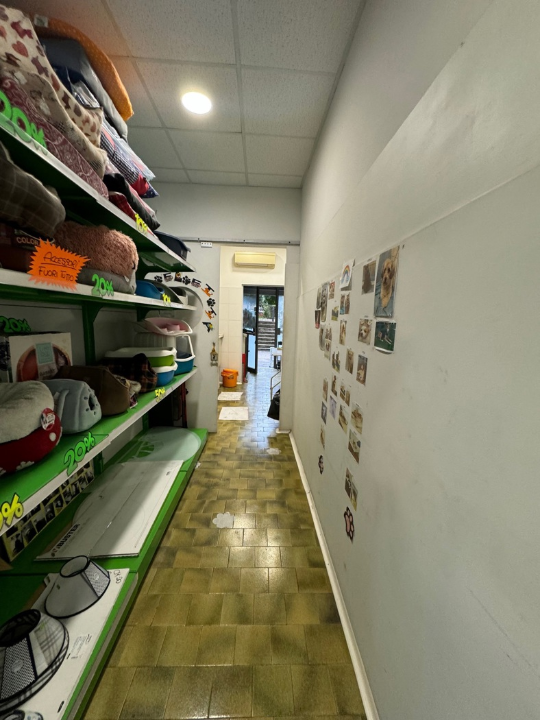 Attività - Image 14