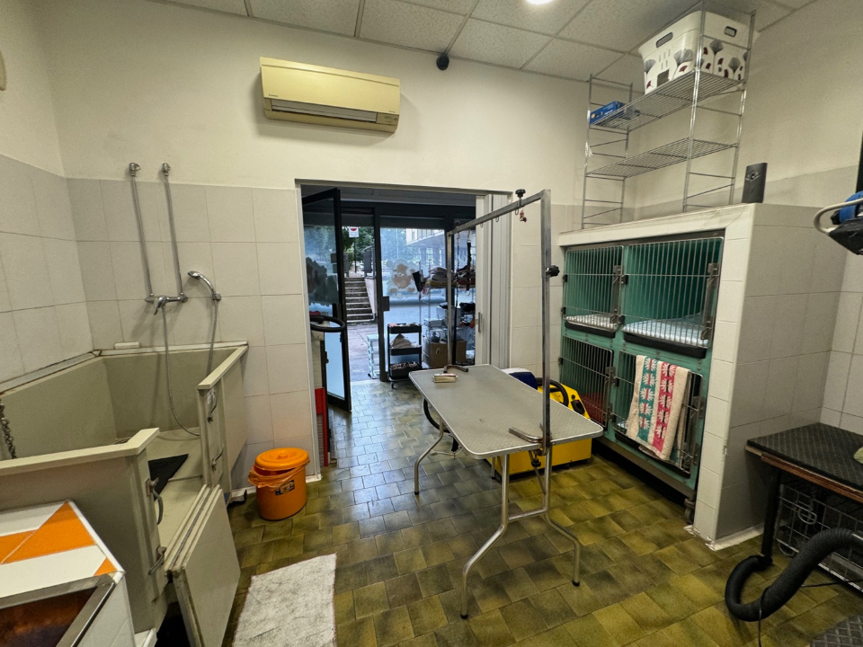 Attività - Image 15