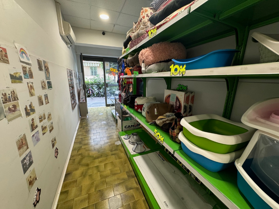 Attività - Image 17