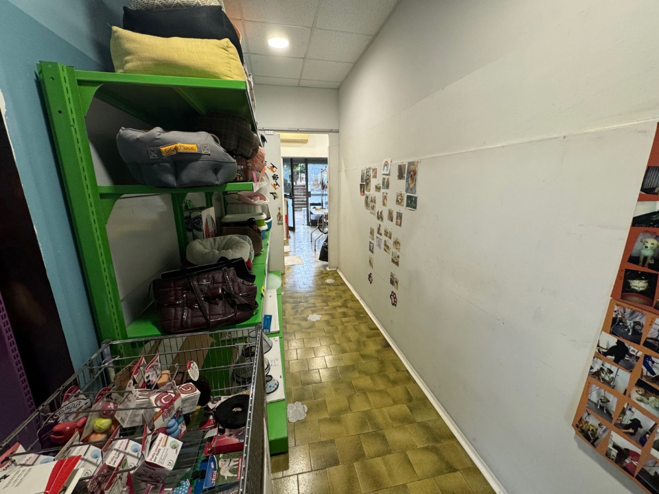 Attività - Image 13