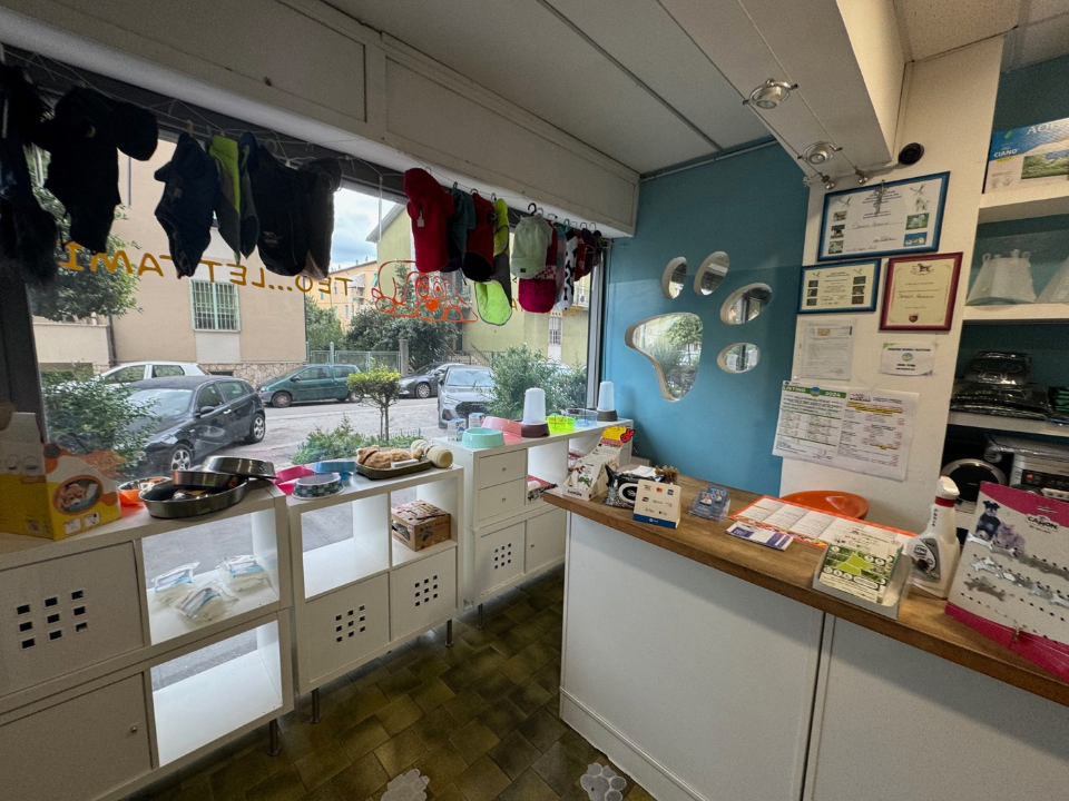 Attività - Image 12