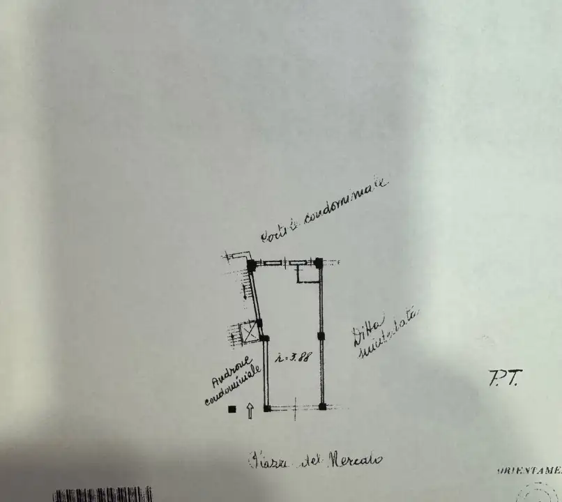 Negozio - Planimetry 1