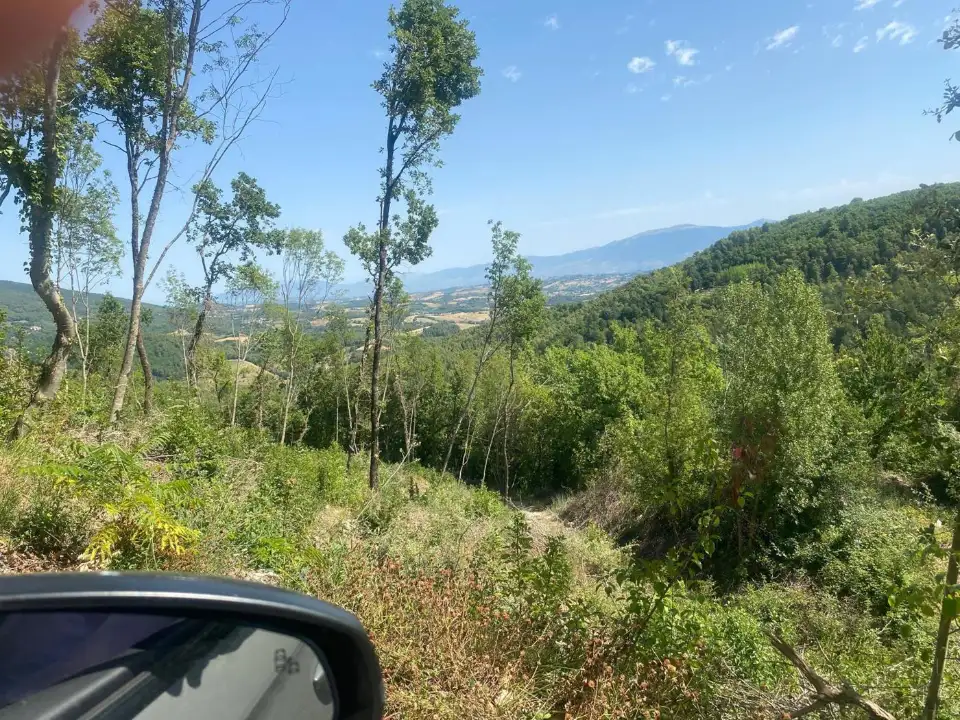 Appartamento - Image 2