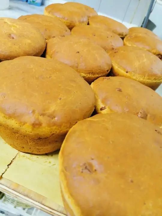 Attività - Image 29