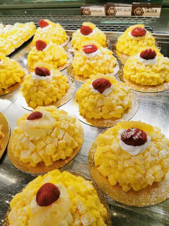 Attività - Image 30