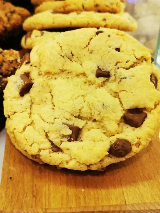 Attività - Image 33