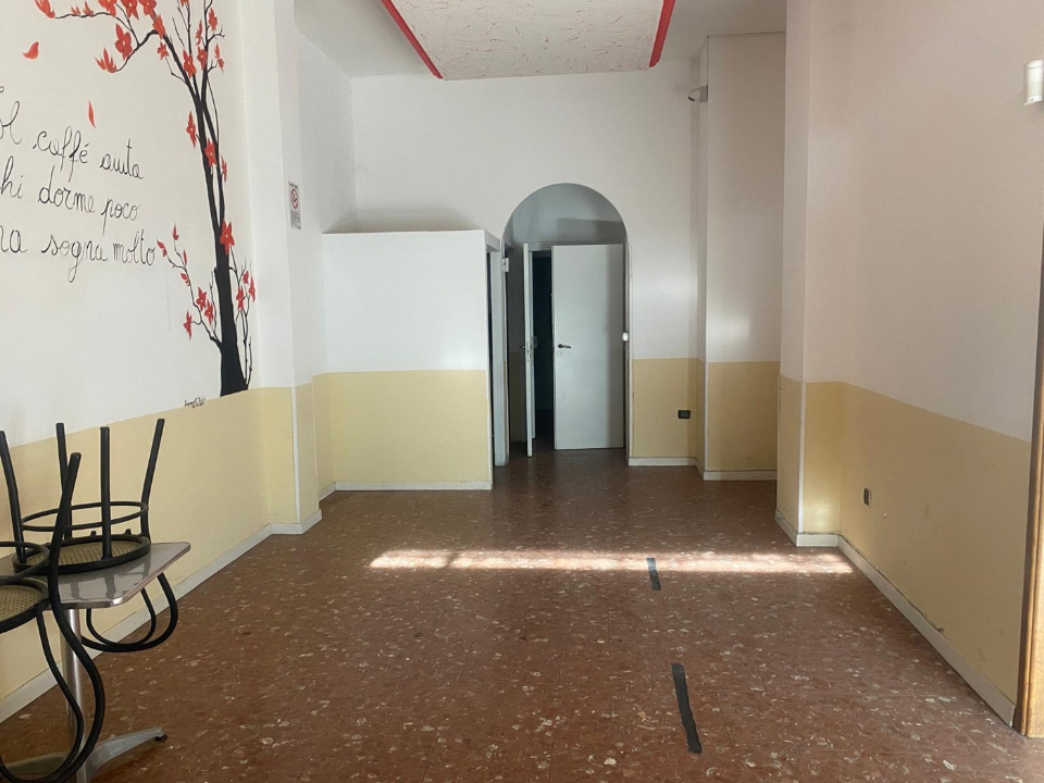 Attività - Image 14