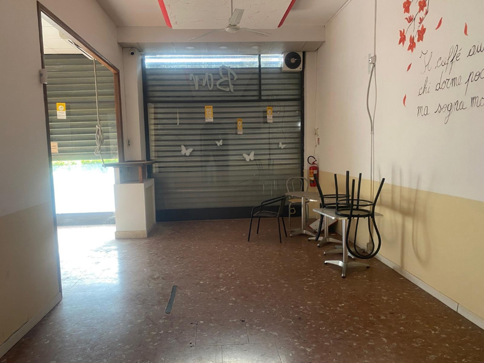 Attività - Image 11