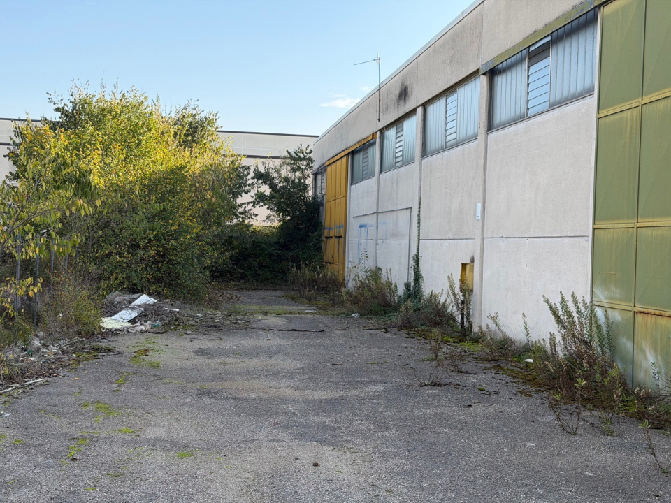 Capannone - Image 19