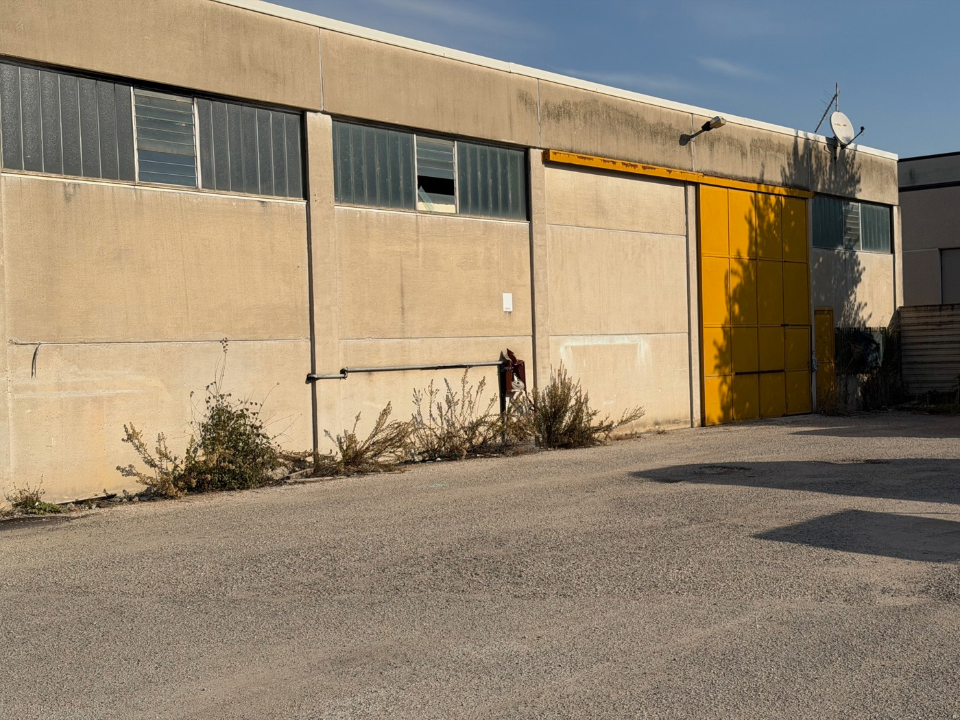 Capannone - Image 16