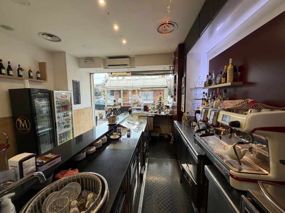 Attività - Image 17