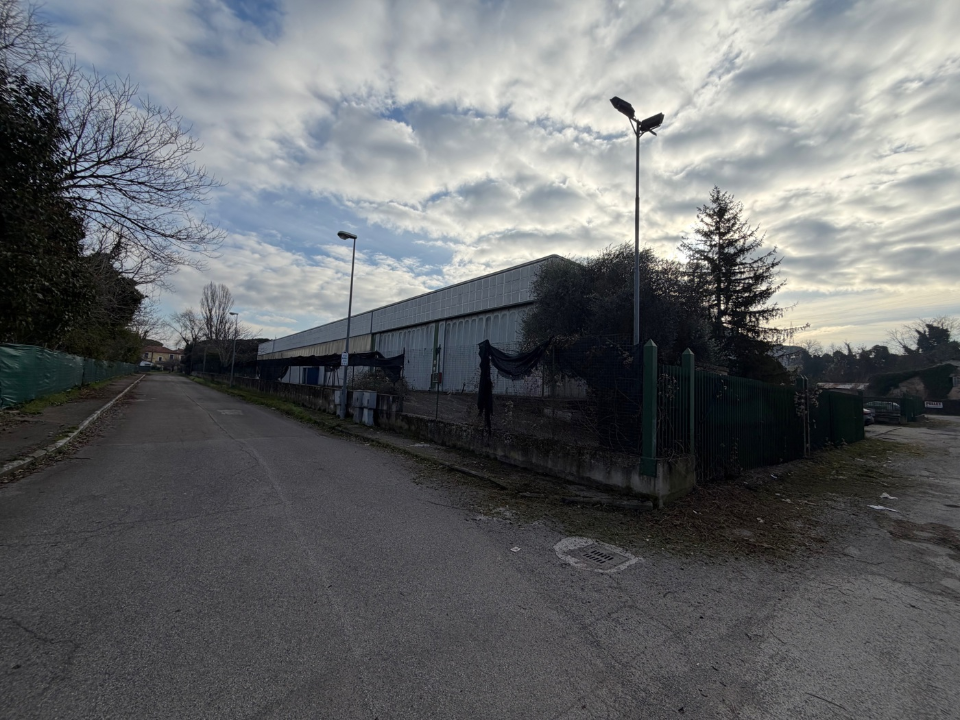 Capannone - Image 49