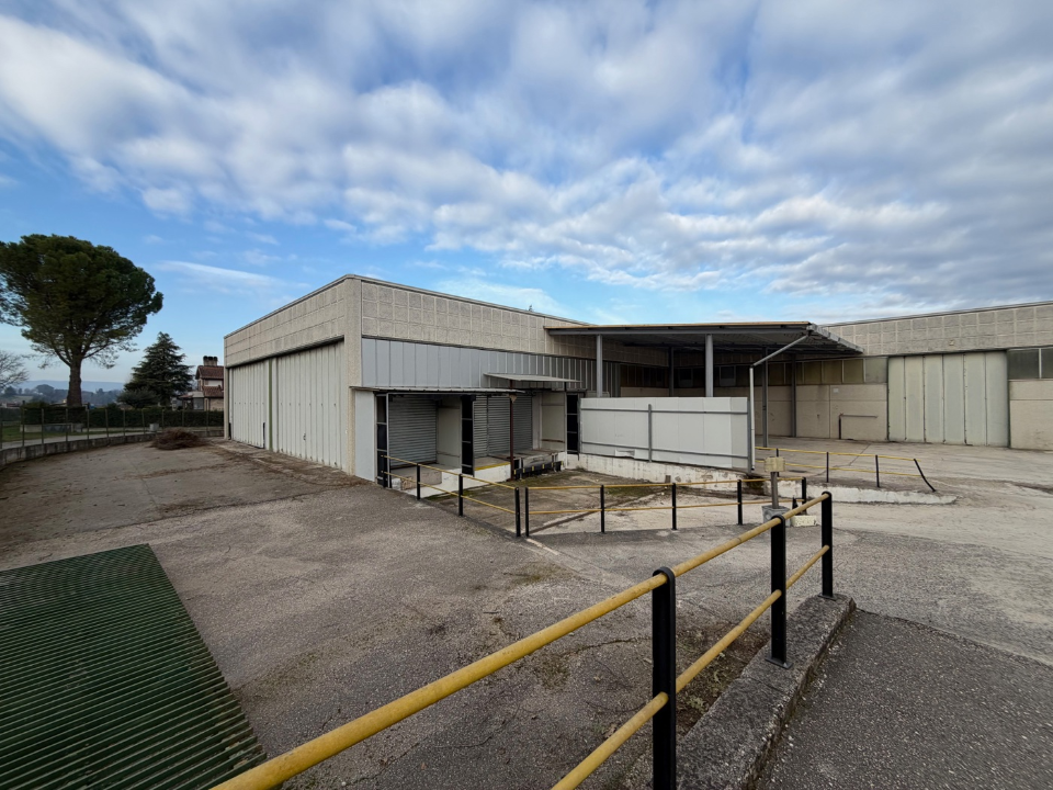 Capannone - Image 11