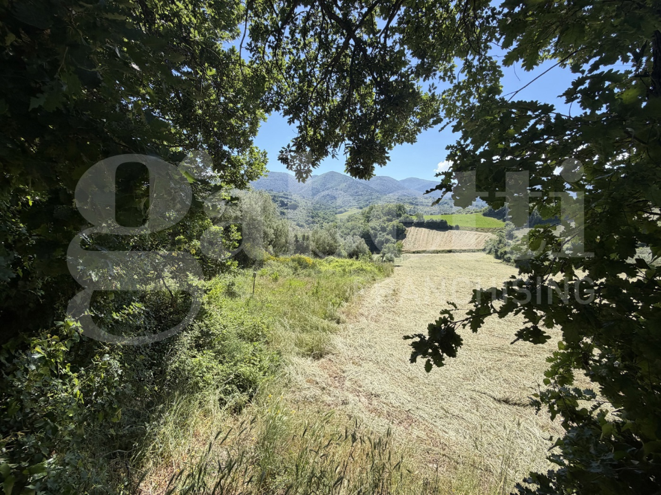 Terreno - Image 45