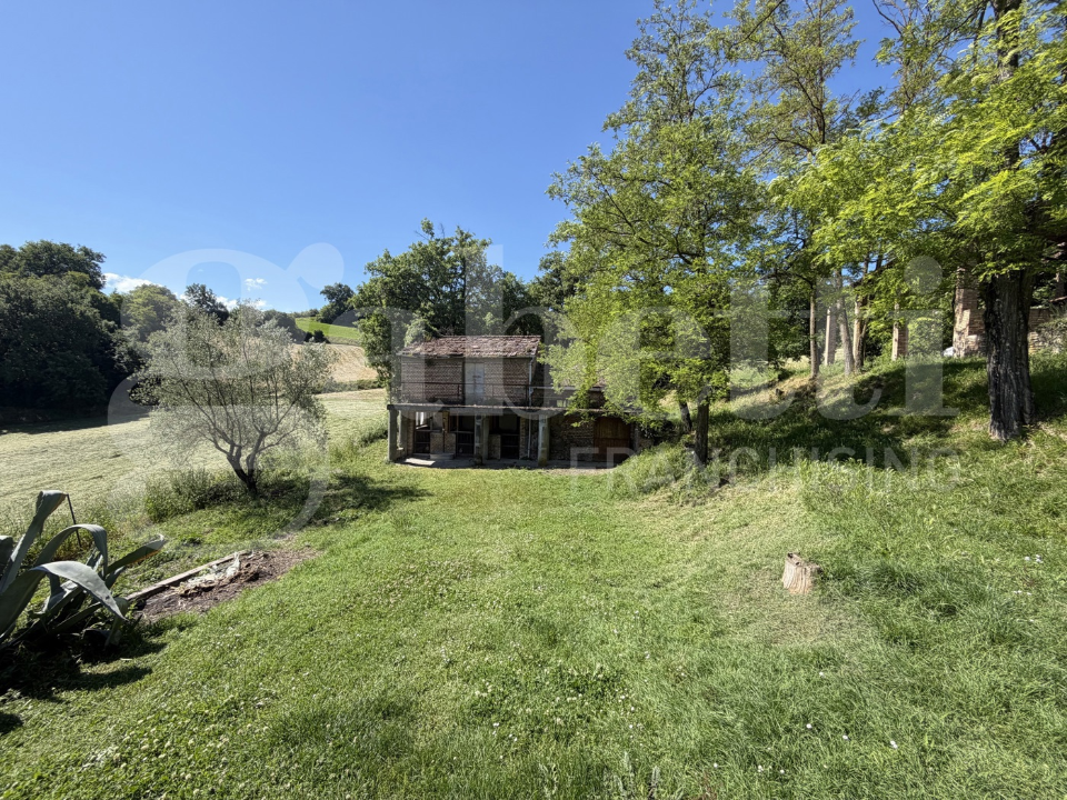 Terreno - Image 10