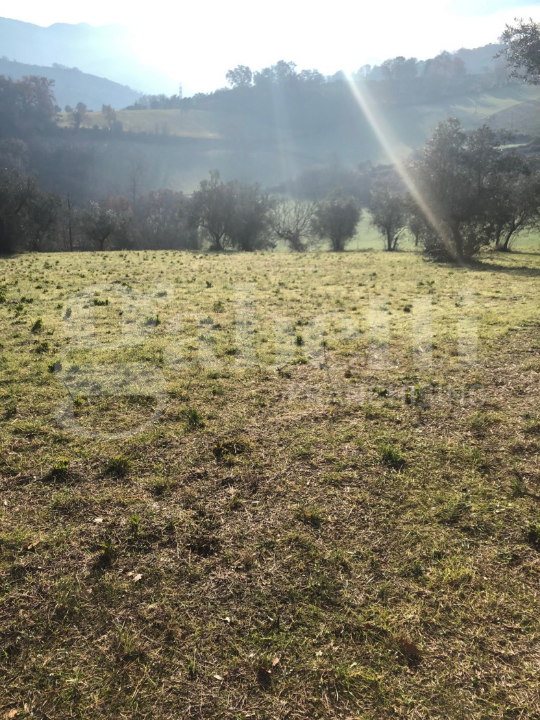 Terreno - Image 16