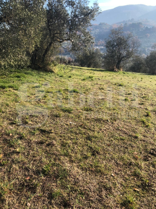 Terreno - Image 13