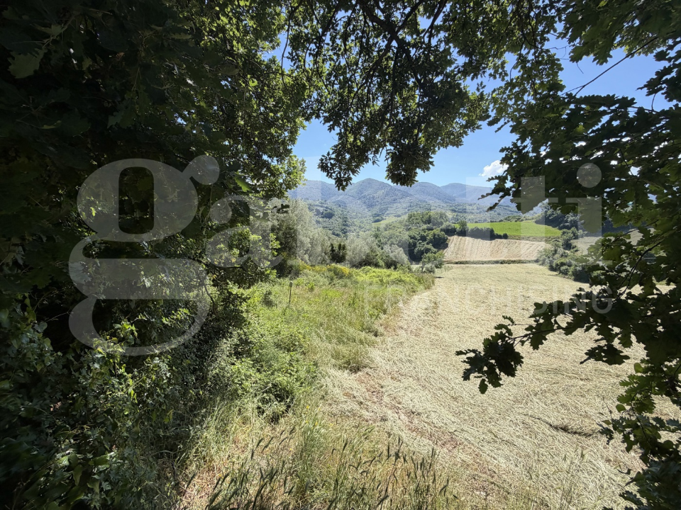 Terreno - Image 31