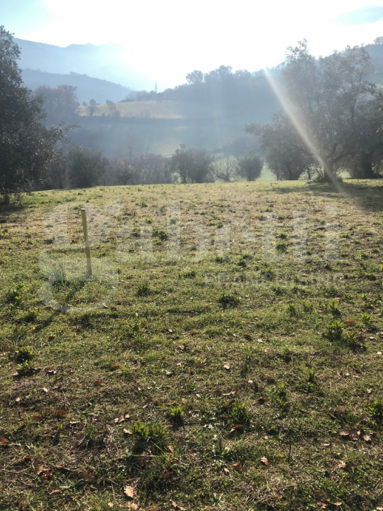 Terreno - Image 12