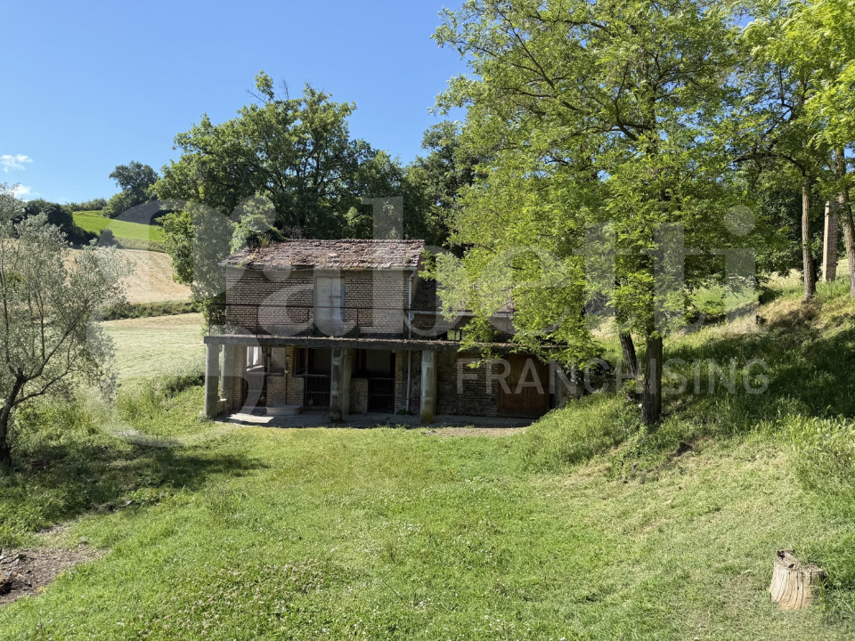 Terreno - Image 9