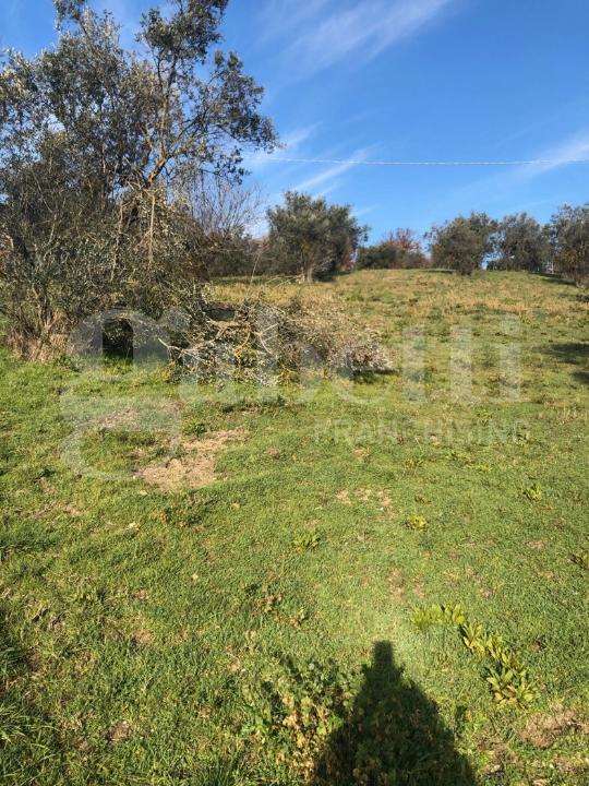 Terreno - Image 5