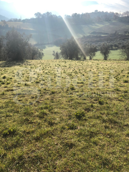 Terreno - Image 2