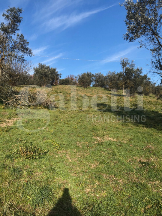 Terreno - Image 32