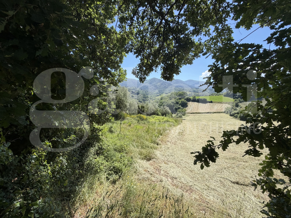 Terreno - Image 46
