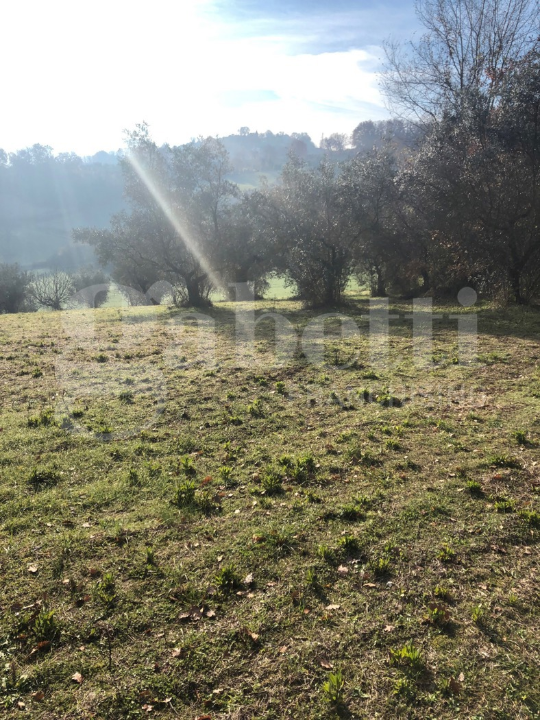 Terreno - Image 8