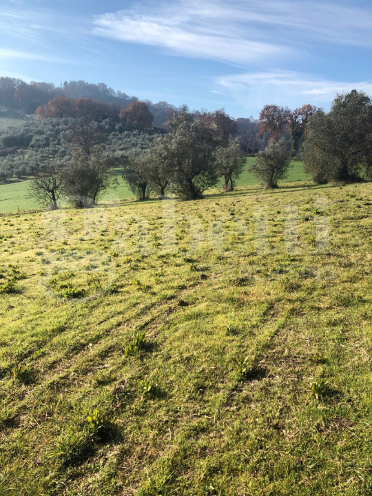 Terreno - Image 20