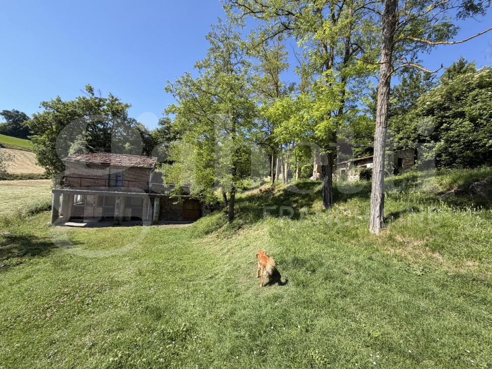 Terreno - Image 21