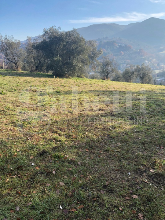 Terreno - Image 36