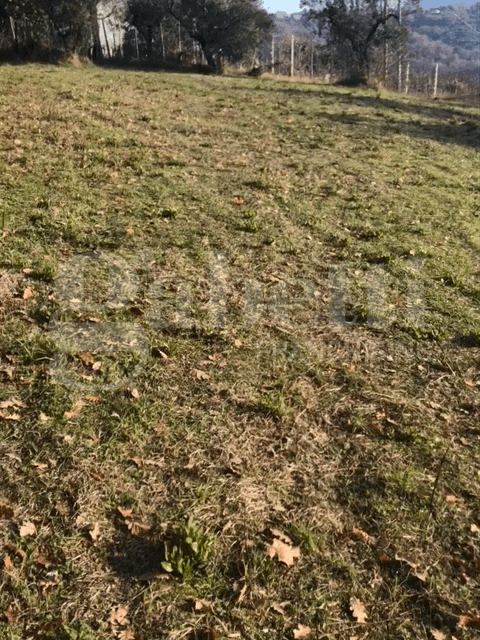 Terreno - Image 41