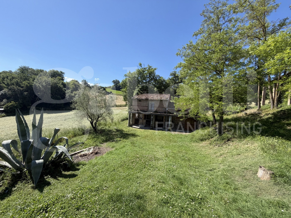 Terreno - Image 25