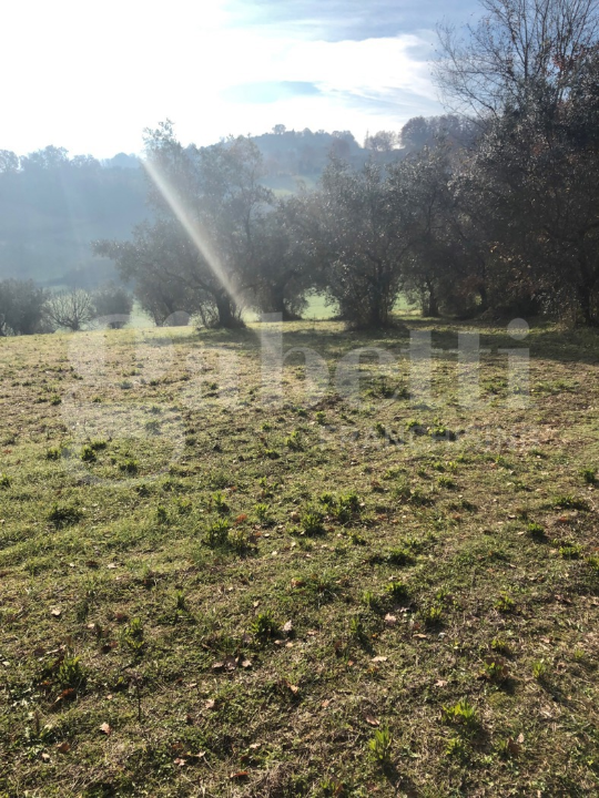Terreno - Image 11