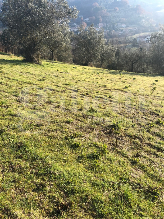 Terreno - Image 19