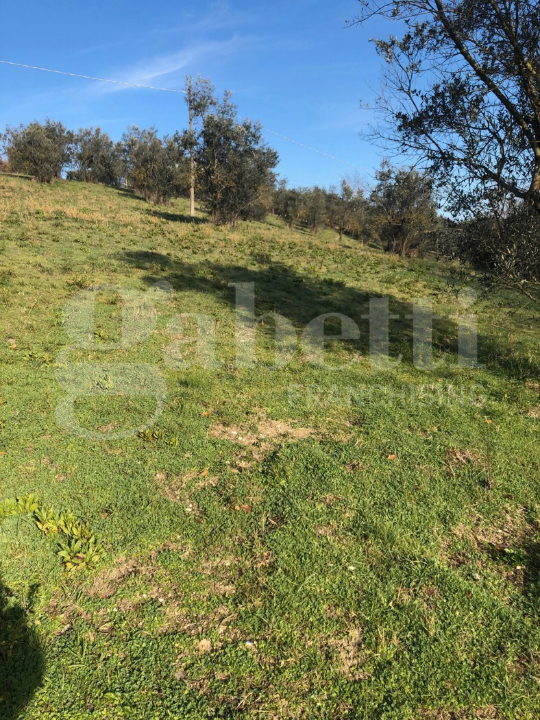 Terreno - Image 34