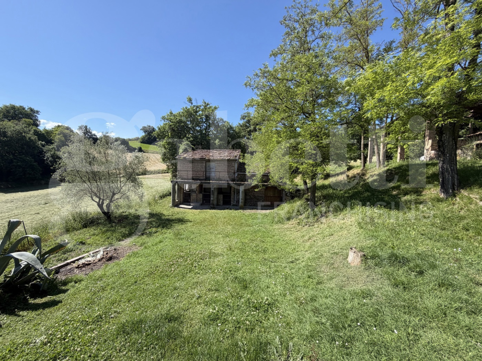 Terreno - Image 39